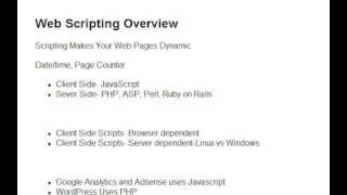 Web Scripting Explained for Beginners [upl. by Anastos]