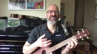 Ubiquitous Mr Lovegrove ukulele cover [upl. by Hunter690]