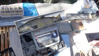 Pêches dinventaire Bassin de la Dranse de Morzine2017 [upl. by Nnateragram]