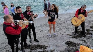 OMG Random Girl with Amazing Voice Sings with Mariachi Band on Miami Beach Florida [upl. by Annahsad]