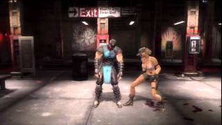 Mortal Kombat 9  All Stage Fatalities HD [upl. by Stearne281]