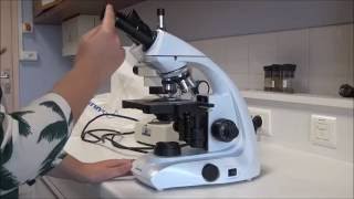 Utilisation du microscope optique [upl. by Tullusus]