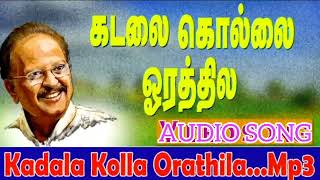 கடலக்கொல்லை ஓரத்திலே Kadala Kolla Orathilea songTamil Kuthu Song [upl. by Leesa124]