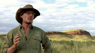 Australian Wildlife Conservancy  feat Sir David Attenborough and narrated by David Wenham [upl. by Dnartreb]