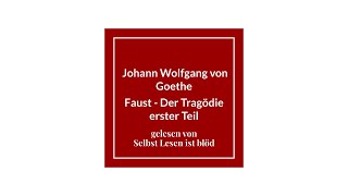 Faust Hörbuch Der Tragödie erster Teil Hörspiel🤜🏼 Johann Wolfgang von Goethe  Selbst Lesen ist blöd [upl. by Riella269]