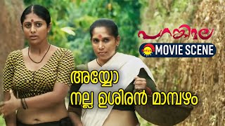 അയ്യോ നല്ല ഉശിരൻ മാമ്പഴം  Parankimala Movie Scene [upl. by Nnaeoj]