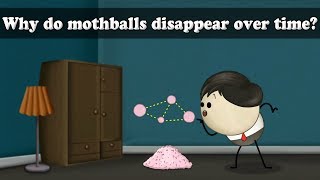 Sublimation  Why do mothballs disappear over time  aumsum kids science education children [upl. by Ahsinid]