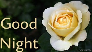 NEW GOOD NIGHT GIF WITH FLOWERS  WHATSAPP VEDIO  WISHES [upl. by Olumor]