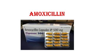 Amoxicillin 💊  Amoxicillin 500mg capsule uses  Benefits of Amoxicillin  Amoxicillin Clavulanate [upl. by Rudd]