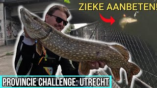 ZIEKE AANBETEN IN UTRECHT  Provincie Challenge 1 [upl. by Sidwel394]