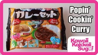 Popin Cookin Curry Instructions [upl. by Anaujnas]