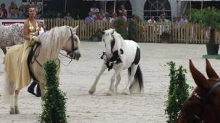 Paard los op hollands next top horse finale [upl. by Kerat416]