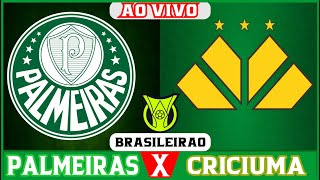 🔴 AO VIVO PALMEIRAS X CRICIUMA  26ª RODADA DO BRASILEIRÃO 2024 🎥⚽ criciúma palmeiras [upl. by Asselem]