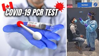 How To Book COVID 19 PCR Test in Canada 🧪 FlyClear by LifeLabs Tutorial 2024 [upl. by Devinna]