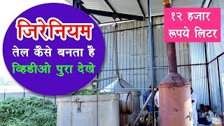 Geranium Oil plant  जिरेनियम तेल कैसे बनता है  Geranium oil distillation plant in Hindi geranium [upl. by Leahpar]