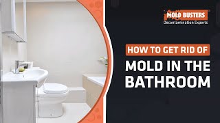 HOW TO REMOVE BATH  SHOWER MOLD  BATHROOM MOULD REMOVAL [upl. by Aihtennek]