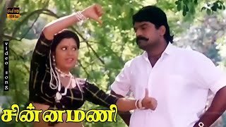 Saarayam Venenga Saamy Song  Chinna Mani  Napoleon Kasthuri  Deva K S Chithra  HD Video [upl. by Atwekk]