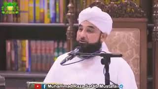 Subhanallahi wa bihamdihi 100 bar parhny ka wazifa [upl. by Naleek504]