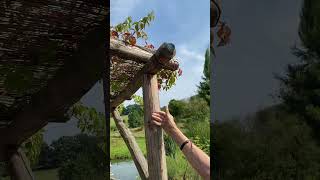 Comment construire une pergola pergola creativegardening paysagiste conseiljardinage jardin [upl. by Latty]