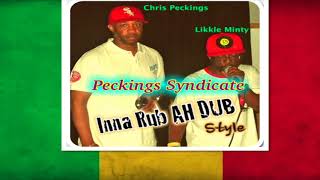 Peckings Syndicate inna rub ah dub style [upl. by Mini41]