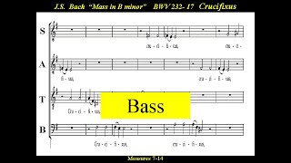 Johann Sebastian Bach  quot Crucifixus quot  Bass [upl. by Bilat653]