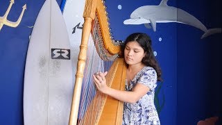 Mi despedida  Paraguayan harp played by Tessa Whale [upl. by Florette276]