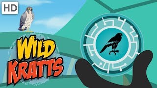 Wild Kratts 🦅 Fly Up High with Creature Powers  Kids Videos [upl. by Tristan]