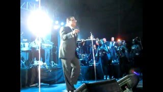 La conciencia  Gilberto santa rosa  Las Damas y el Caballero [upl. by Brit]