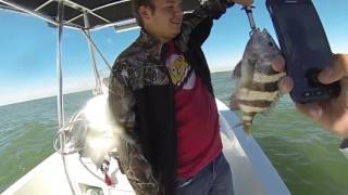 Galveston Jetties Sheepshead Fishing [upl. by Anayhd]