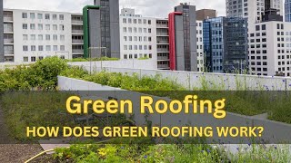 Green Roofing An Introduction to Vegetative Roofing Systems [upl. by Nylhtak884]