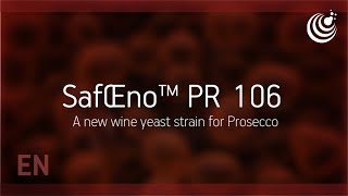 SafŒno™ PR 106 by Fermentis  Launching now  A new wine yeast strain for Prosecco [upl. by Ynalem]