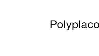 How to pronounce Polyplacophora [upl. by Attaymik811]