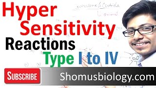 Hypersensitivity reactions type 1 type 2 type 3 and type 4 hypersensitivity [upl. by Edalb]