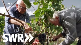 Spuren im Stein  Der Kaiserstuhl  SWR Geschichte amp Entdeckungen [upl. by Joed794]