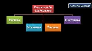 Estructura y Organización de las Proteínas [upl. by Xuaegram]