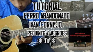 Perro Abandonado  Iván Cornejo  Requinto y Acordes  TUTORIAL  CON TABS [upl. by Kolva862]