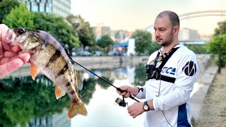 Pescuit la Biban pe Dambovita cu Activitate🎣 PARTIDA COMPLETA [upl. by Mw]