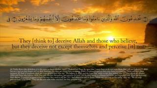 The Quran  Chapter 2 verses 120 Surah alBaqarah [upl. by Ehttam]