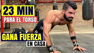 Rutina de Biceps y Pecho Intensa 25 MIN Ejercicios para Brazo en Casa [upl. by Jone]