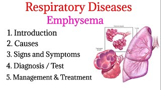 Emphysema  definition causes signs and symptoms diagnosis and treatment  Respiratory diseases [upl. by Cordova528]