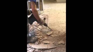 How to remove tile floor [upl. by Irat]