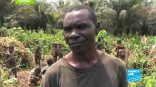 Pygmies endangered people [upl. by Gamal367]