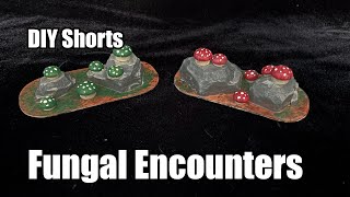 DIY Shorts Fungal Encounters [upl. by Calvinna]