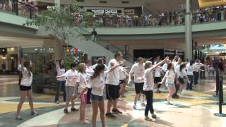 quotDYNAquotmite Flash Mob 2013 [upl. by Checani18]