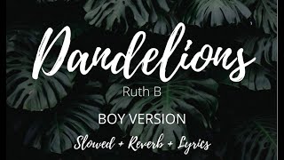 Dandelions quotRuth Bquot  Boy version slowedreverblyrics [upl. by Adnilahs]