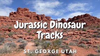 Jurassic Dinosaur Tracks St George Utah [upl. by Stenger364]