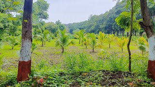 Centeral Research Institute for Dryland Agriculture Hyderabad CRIDA field cafeteria [upl. by Gabi]