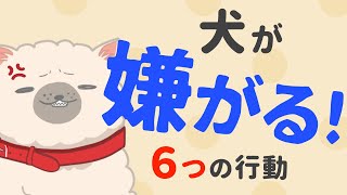 犬に吠えられる！懐かない原因は犬が嫌がる行動にあった！ [upl. by Verlie]