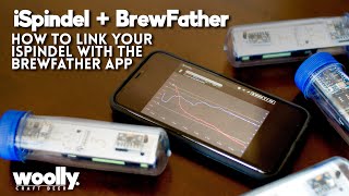 How To Link Your iSpindel With BrewFather  Track Your Home Brew Specific Gravity amp Temperature 4K [upl. by Eidoc]