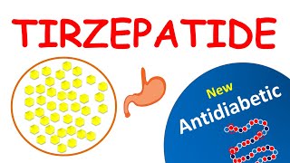 Tirzepatide MOUNJARO  Mechanism precautions side effects amp uses [upl. by Lenad]